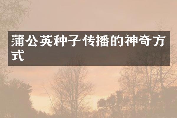 蒲公英种子传播的神奇方式