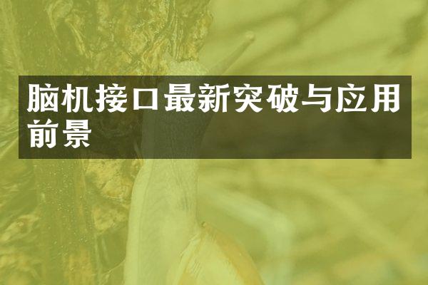 脑机接口最新突破与应用前景