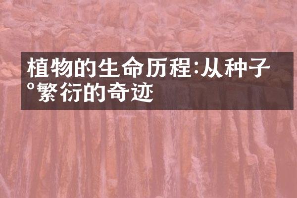 植物的生命历程:从种子到繁衍的奇迹