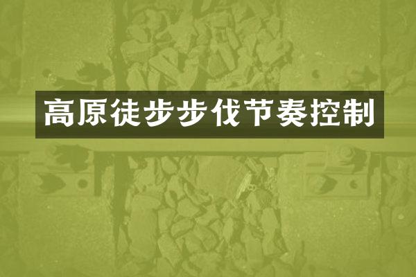 高原徒步步伐节奏控制