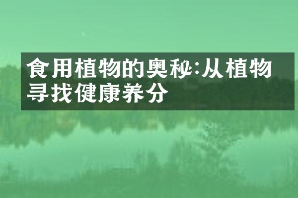 食用植物的奥秘:从植物中寻找健康养分