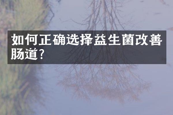 如何正确选择益生菌改善肠道？