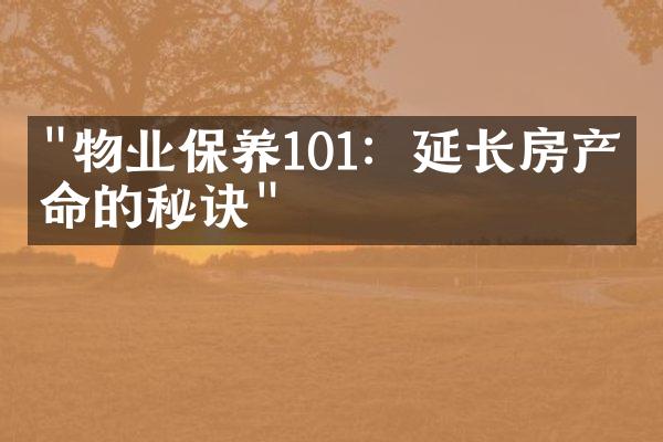 "物业保养101：延长房产寿命的秘诀"