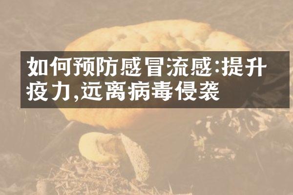 如何预防感冒流感:提升免疫力,远离病毒侵袭