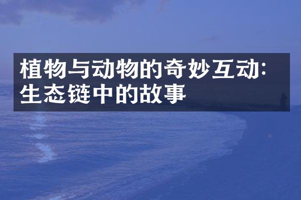 植物与动物的奇妙互动：生态链中的故事