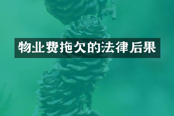 物业费拖欠的法律后果