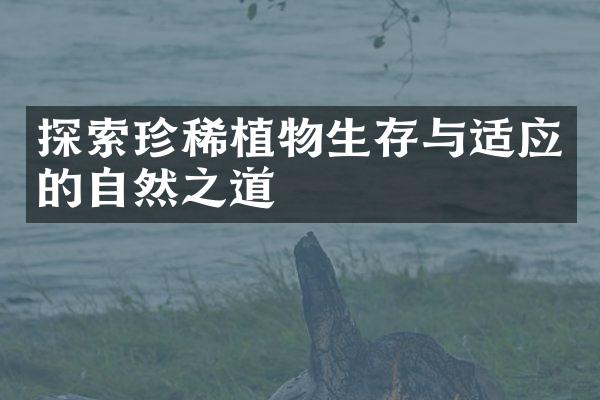 探索珍稀植物生存与适应的自然之道