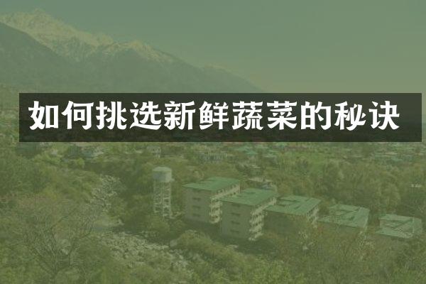 如何挑选新鲜蔬菜的秘诀