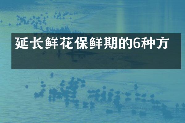 延长鲜花保鲜期的6种方法