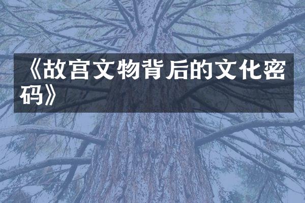《故宫文物背后的文化密码》