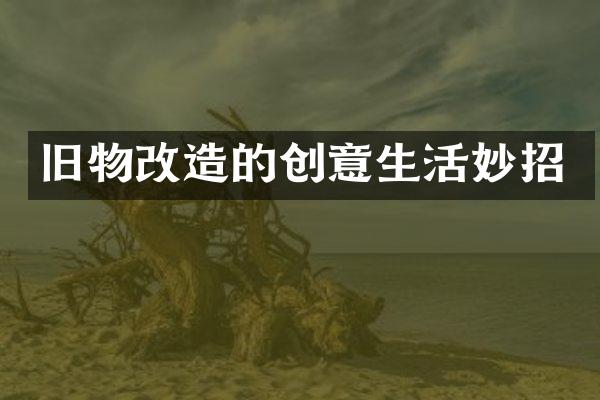 旧物改造的创意生活妙招