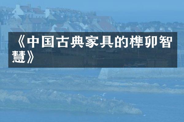 《中国古典家具的榫卯智慧》