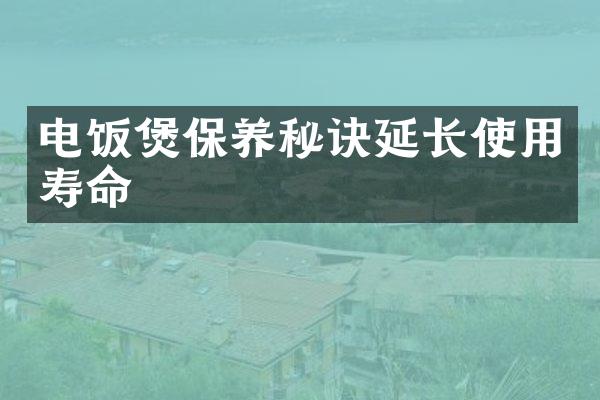 电饭煲保养秘诀延长使用寿命
