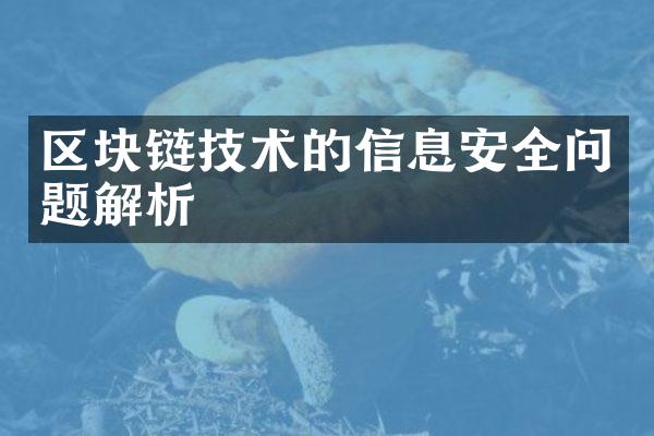 区块链技术的信息安全问题解析