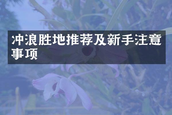 冲浪胜地推荐及新手注意事项