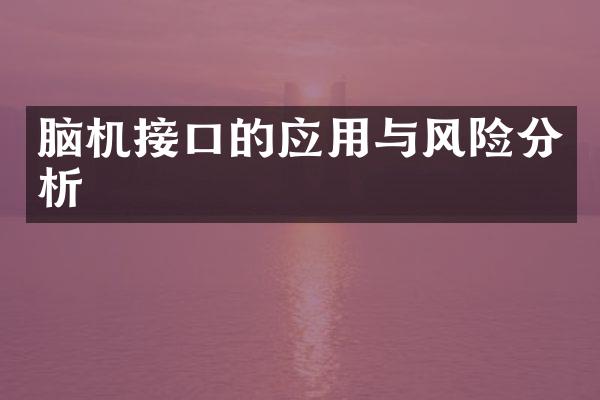脑机接口的应用与风险分析