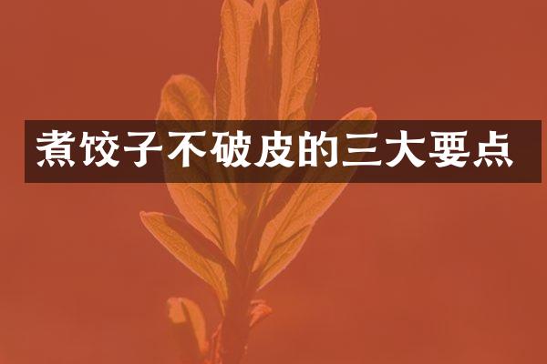 煮饺子不破皮的三大要点