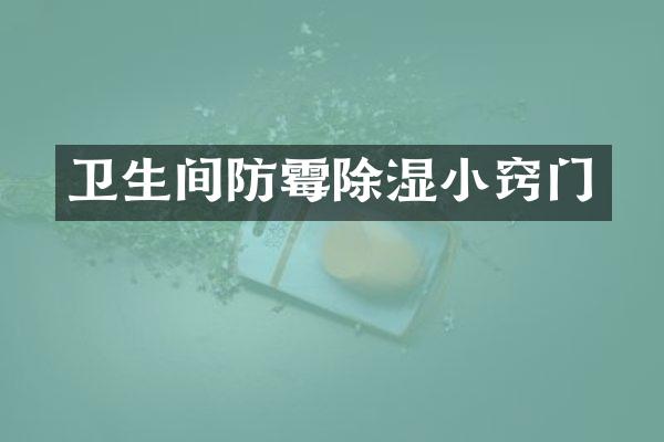 卫生间防霉除湿小窍门