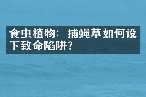 食虫植物：捕蝇草如何设下致命陷阱？