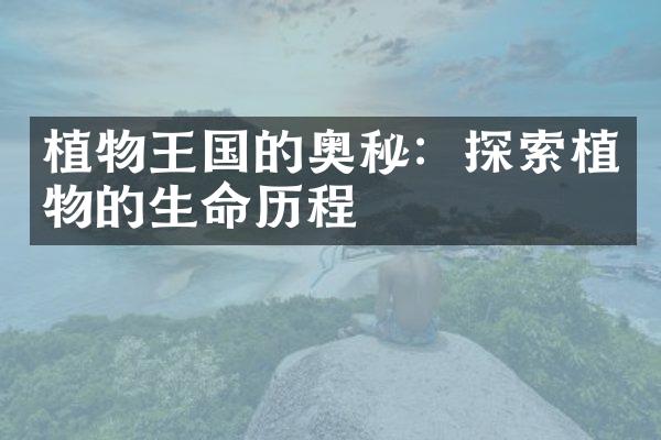 植物王国的奥秘：探索植物的生命历程