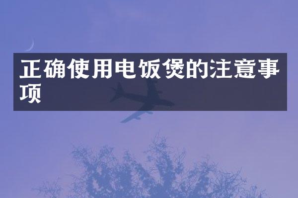 正确使用电饭煲的注意事项