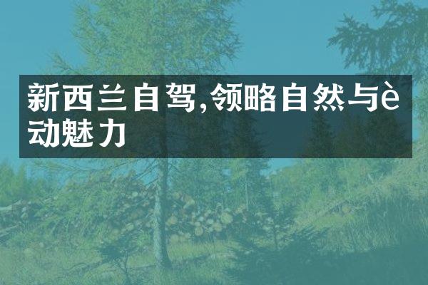 新西兰自驾,领略自然与运动魅力