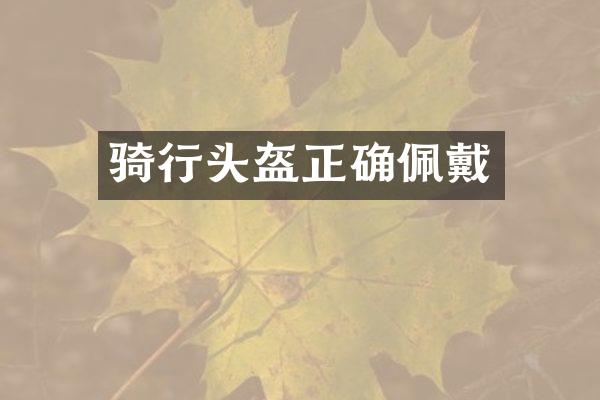 骑行头盔正确佩戴