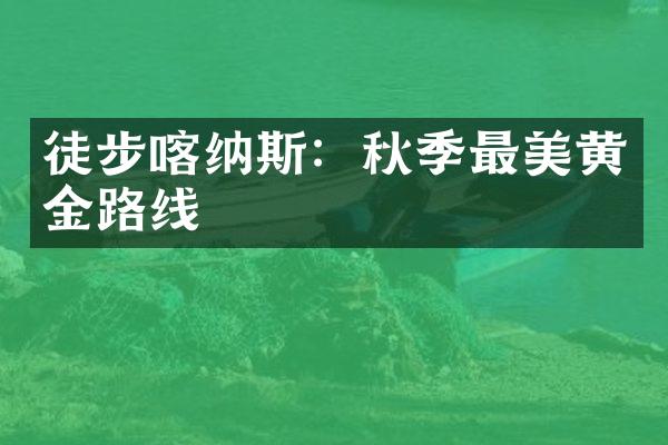 徒步喀纳斯：秋季最美黄金路线
