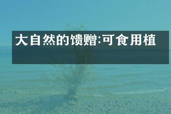大自然的馈赠:可食用植物