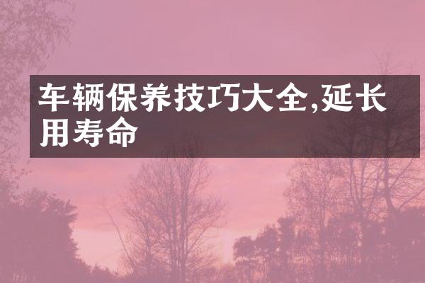 车辆保养技巧大全,延长使用寿命