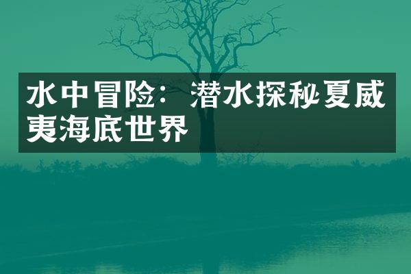 水中冒险：潜水探秘夏威夷海底世界