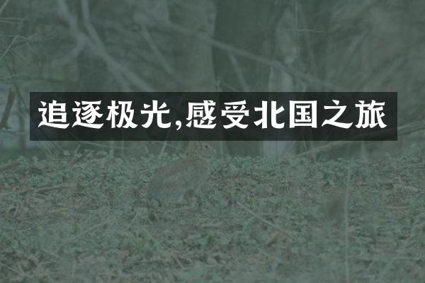 追逐极光,感受北国之旅
