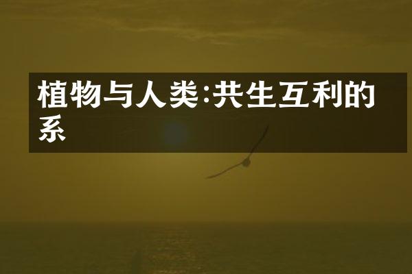 植物与人类:共生互利的关系