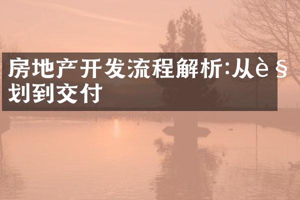 房地产开发流程解析:从规划到交付