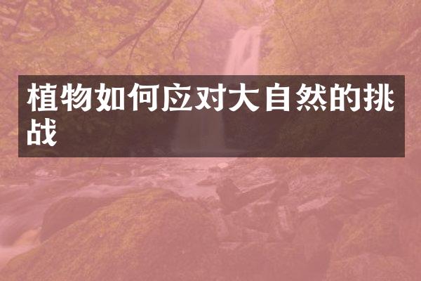 植物如何应对大自然的挑战