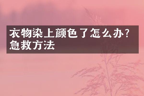 衣物染上颜色了怎么办？急救方法
