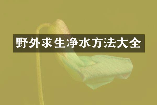 野外求生净水方法大全