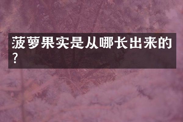 菠萝果实是从哪长出来的？