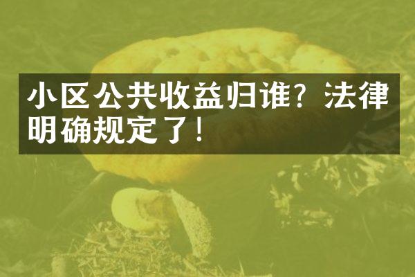 小区公共收益归谁？法律明确规定了！