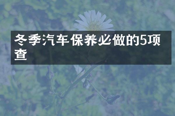 冬季汽车保养必做的5项检查