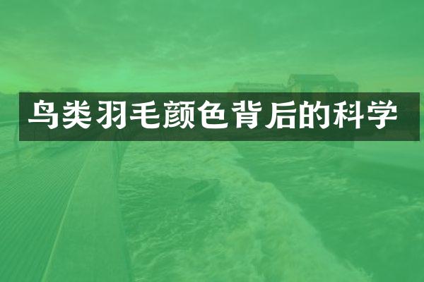 鸟类羽毛颜色背后的科学