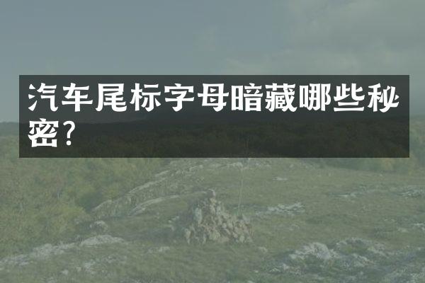 汽车尾标字母暗藏哪些秘密？