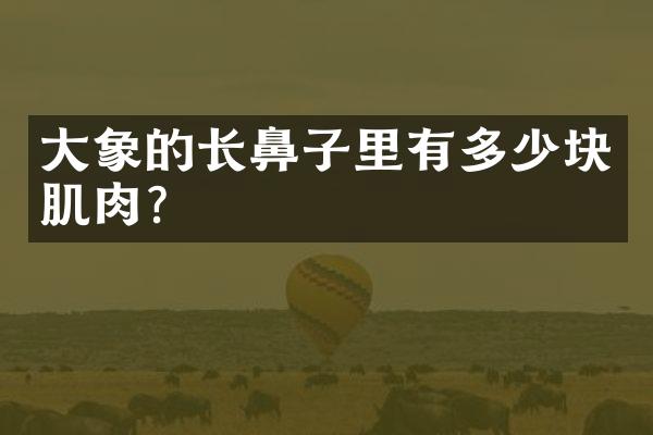 大象的长鼻子里有多少块肌肉？
