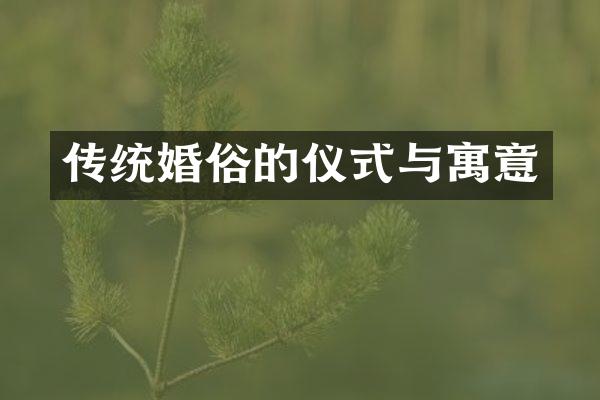传统婚俗的仪式与寓意