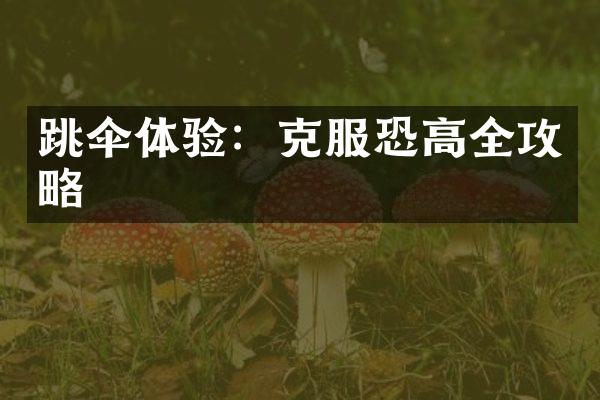 跳伞体验：克服恐高全攻略