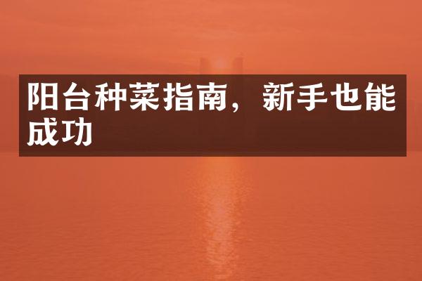阳台种菜指南，新手也能成功
