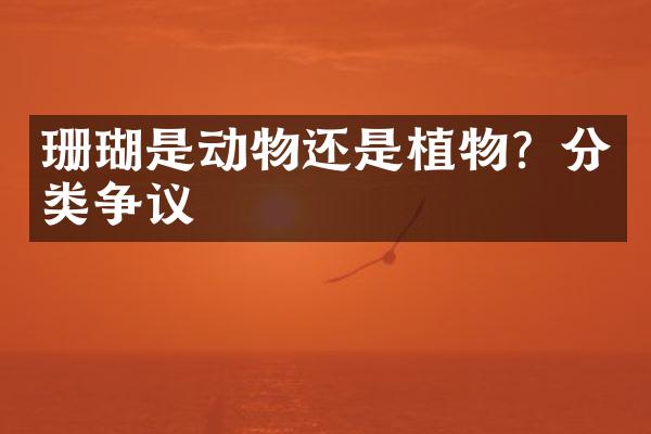珊瑚是动物还是植物？分类争议