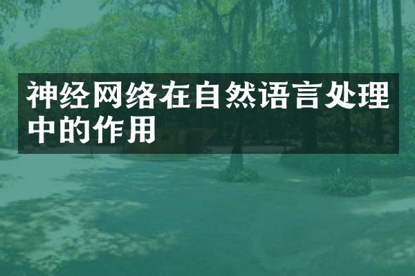 神经网络在自然语言处理中的作用