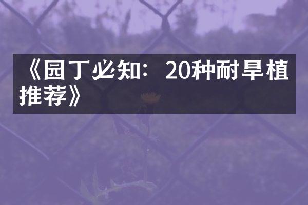 《园丁必知：20种耐旱植物推荐》
