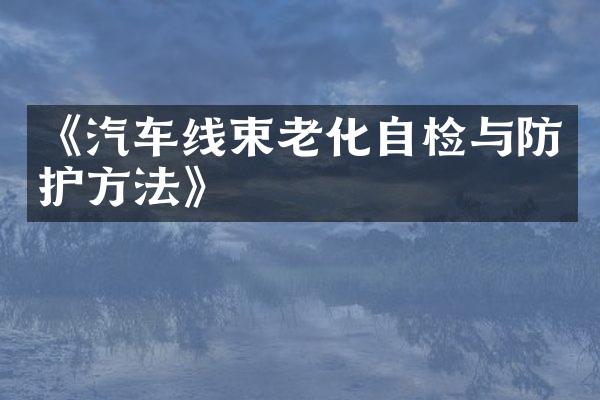 《汽车线束老化自检与防护方法》